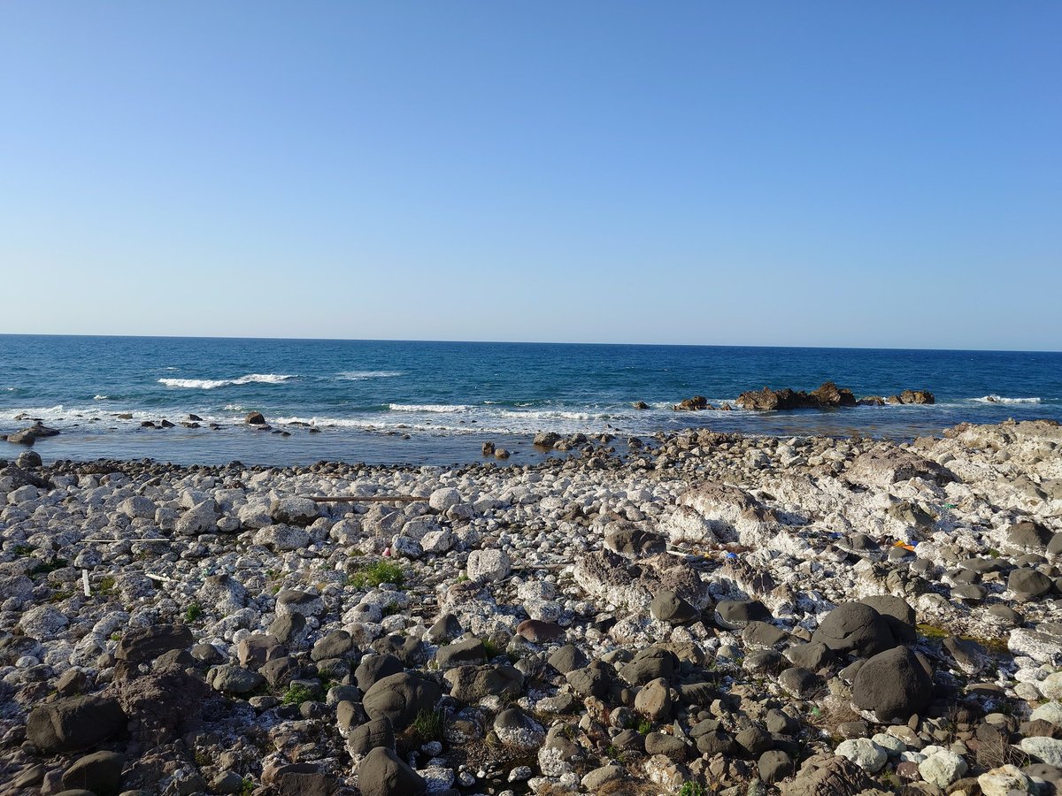 株式会社 珠洲製塩【公式】 tweet media