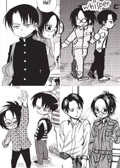 Like why are they so domestic