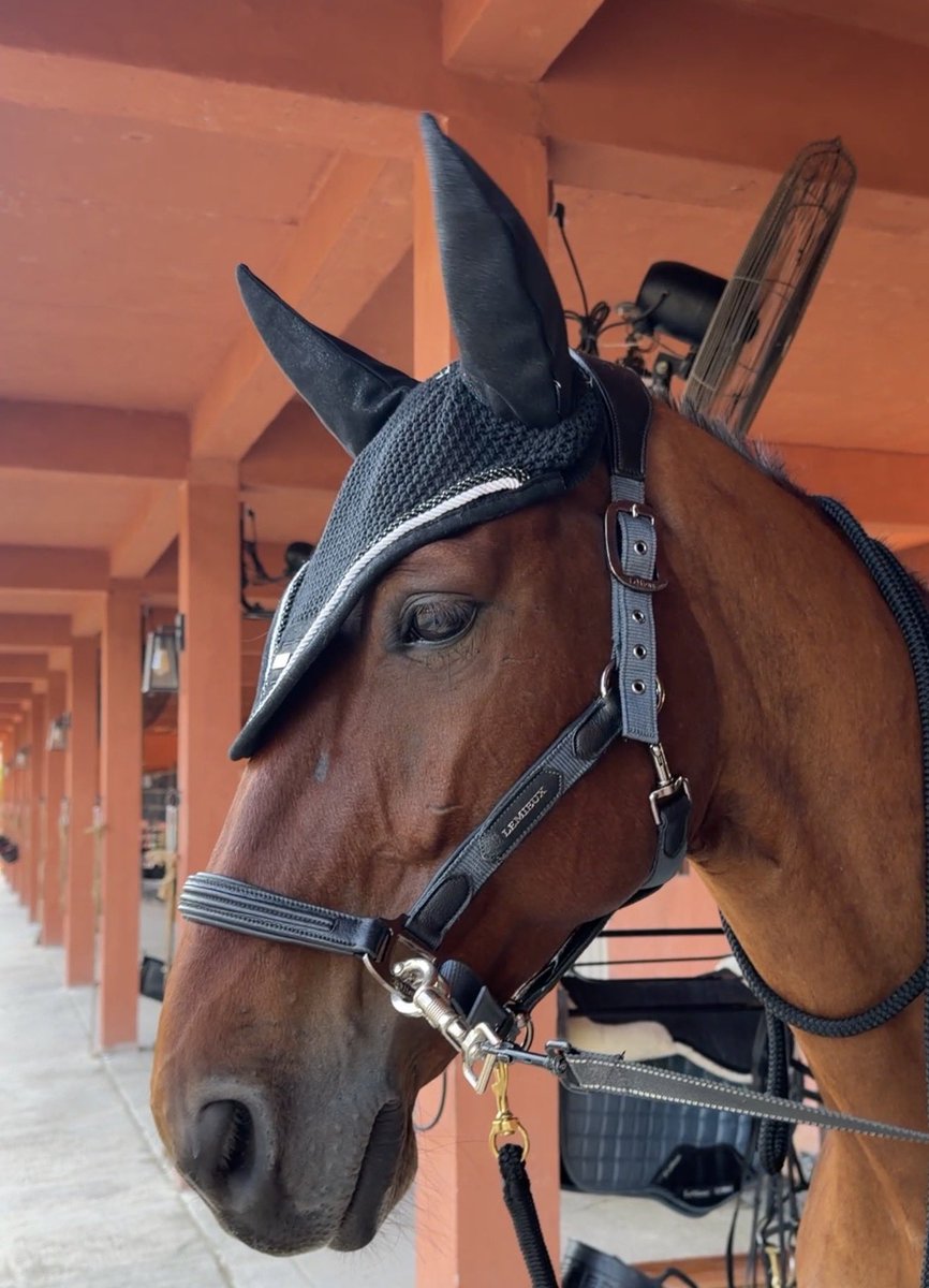 Madeleine Louise tweet media