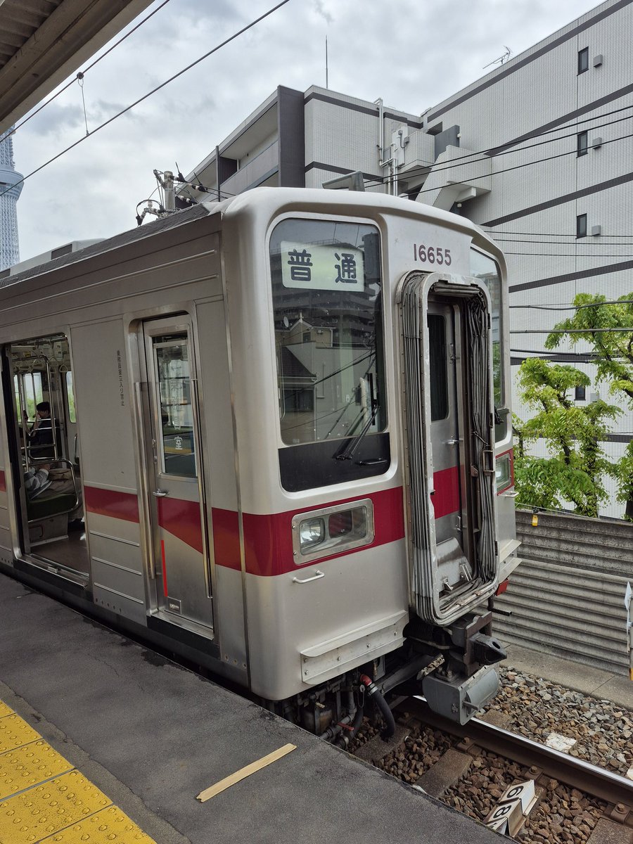 うさドラム tweet media