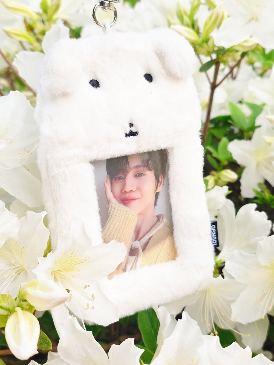 샤인머스캣🪽 tweet media