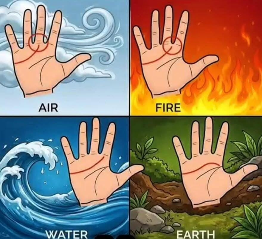 Anime Daily tweet media