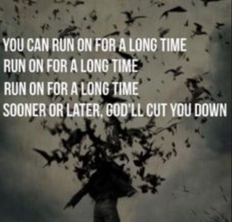 Right From Israel tweet media