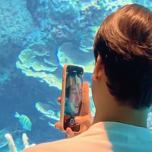 𝗖𝗵𝗲𝗲𝘀𝗲𝗰𝗮𝗸𝗲🍰ft.บิโบร๋บิบี๋🤍 tweet media