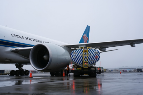 thisisGBA's tweet image. #Transportation | China Southern Air Logistics has launched the Chinese mainland's first polar cargo route, linking New York City and Guangzhou.

Flying over the Arctic, the route cuts travel time by about 40 minutes while reducing fuel use and emissions —boosting efficiency for