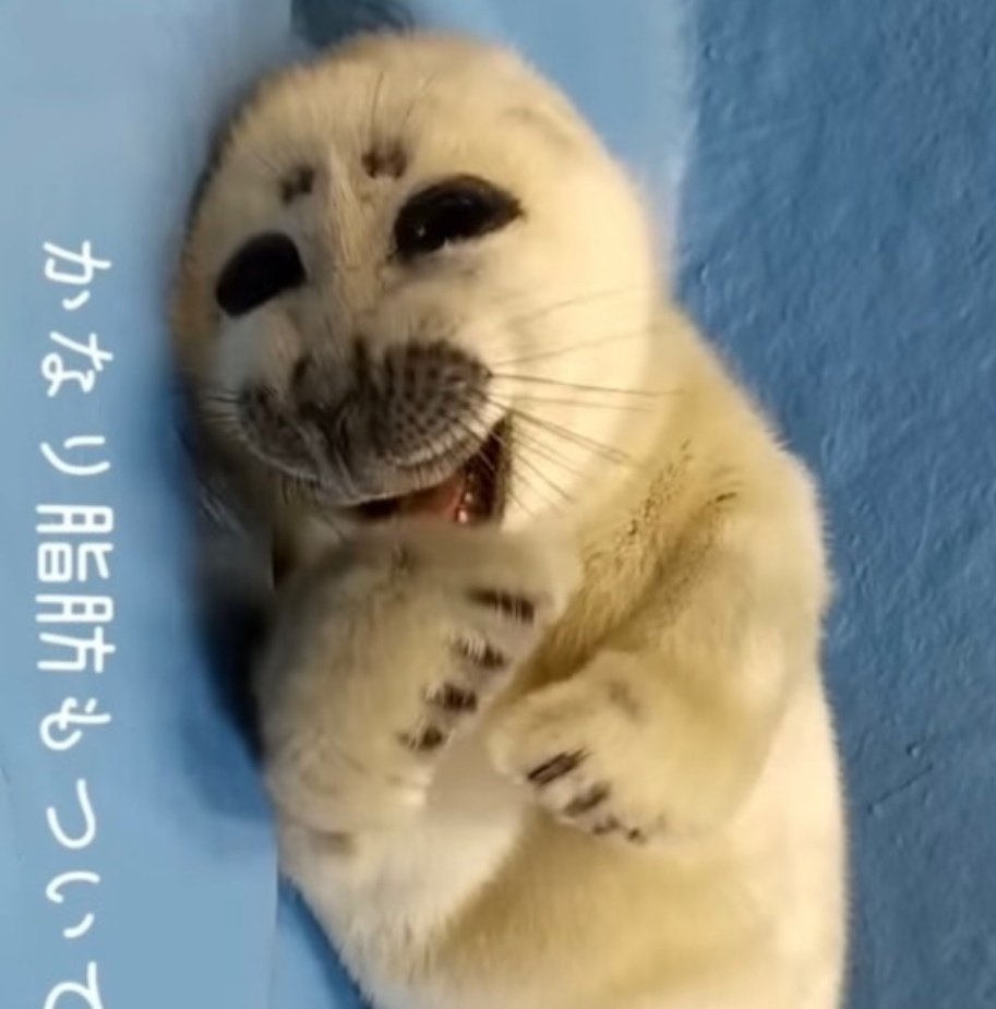 Why doesn't this Niko photo get spread around more... he's so happy.. he's laughing..