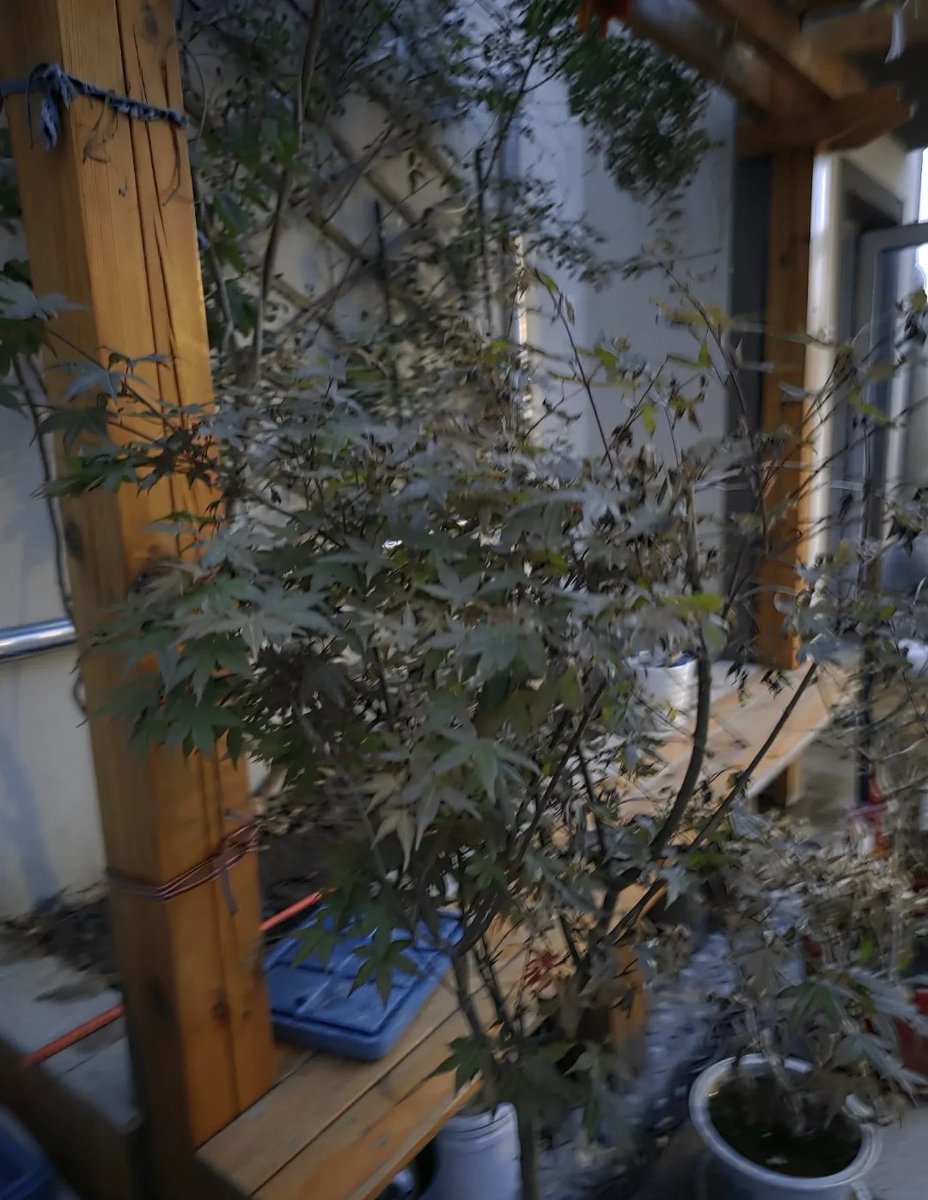 Crypto Prem tweet media