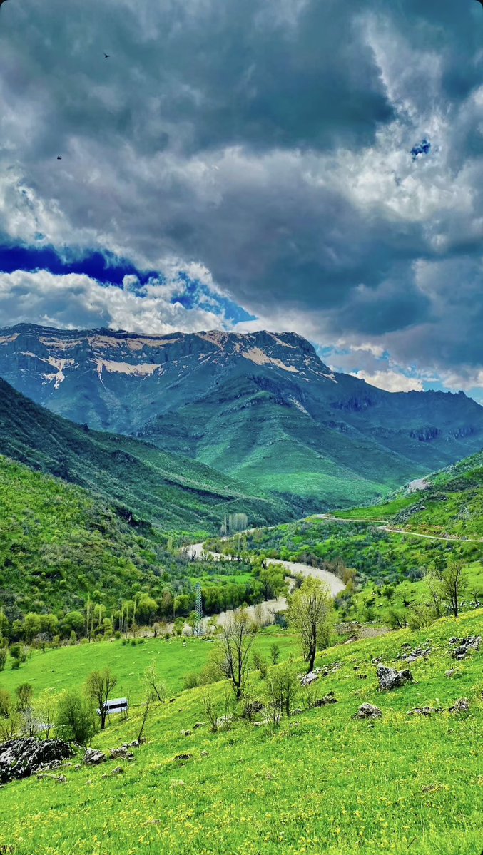 Azad Çiftçi tweet media