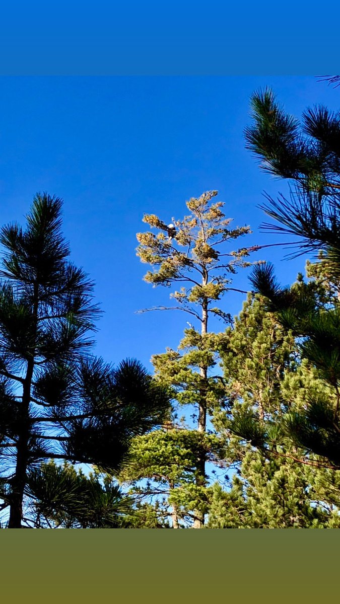 JeanPaulKrause's tweet image. GM! 🌞 #Friday 🌟 The Lord called Samuel a third time. Samuel went to Eli and said, “Here I am, you called me.” Eli realized the Lord had called, so Eli told Samuel, “Go and lie down. If he calls you, say, ‘Speak, Lord, for your servant is listening.’ ” ❤️#Love❤️ 🇺🇸#MAGA🇺🇸