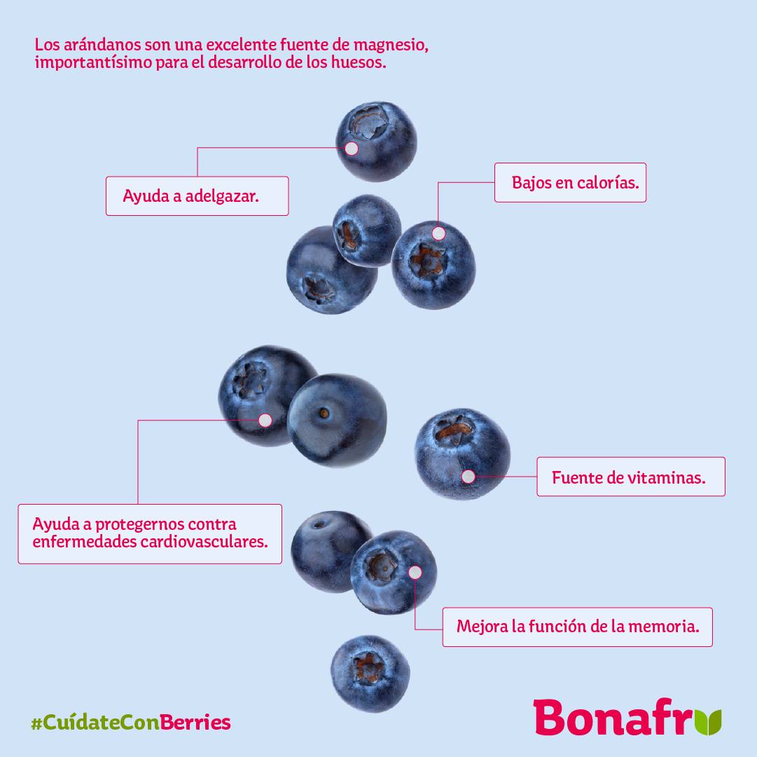 bonafru's tweet photo. Arándanos Bonafrú 🔝. ¿Conoces todas las propiedades de esta #SúperFruta 💪?

✅ Fuente de magnesio y vitaminas.
✅ Ayuda a adelgazar.
✅ Bajos en calorías.
✅ Protector cardiovascular.

#Bonafrú #ArándanosDeHuelva #LoMejorDelCampo https://t.co/AkuLHAcwAn