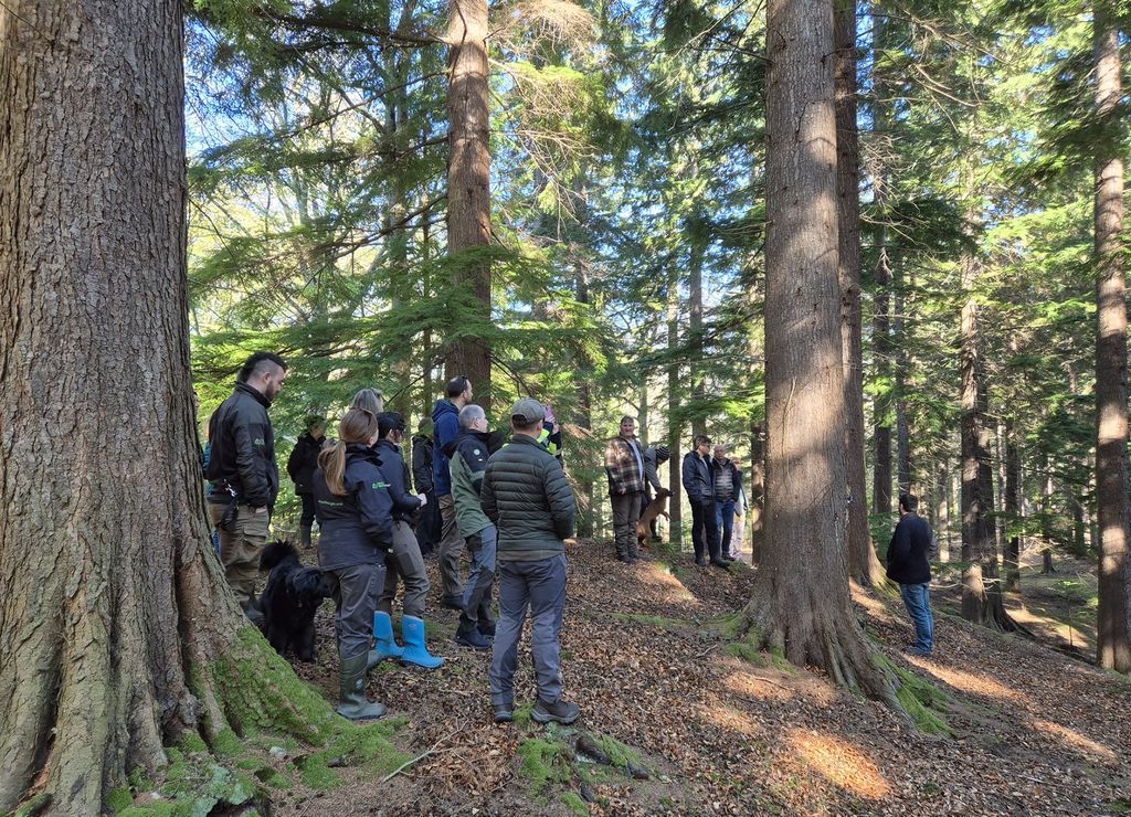 Institute of Chartered Foresters tweet media