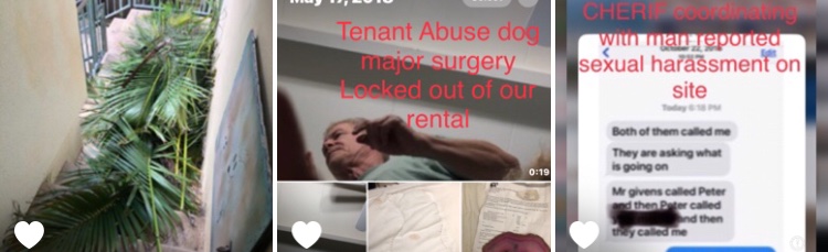 liveyourenergy's tweet image. My employer work trip  stole my ballgown    As employee  tried  to force me marry  guy drugging me.   unpaid   wages overtime   🇺🇸 #lawyer