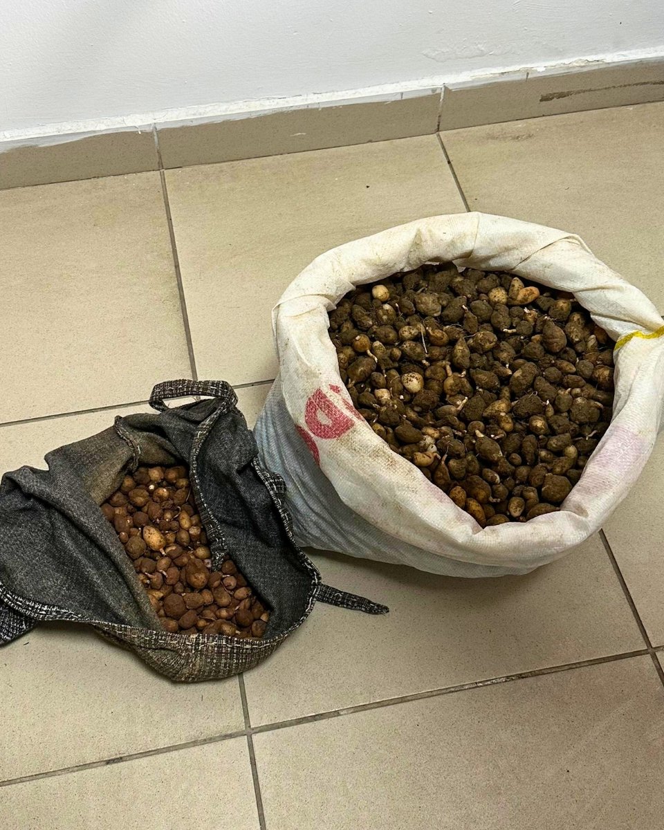 Milli Parklar tweet media