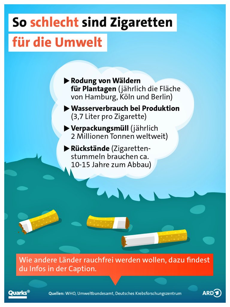 Liberty Hannes tweet media