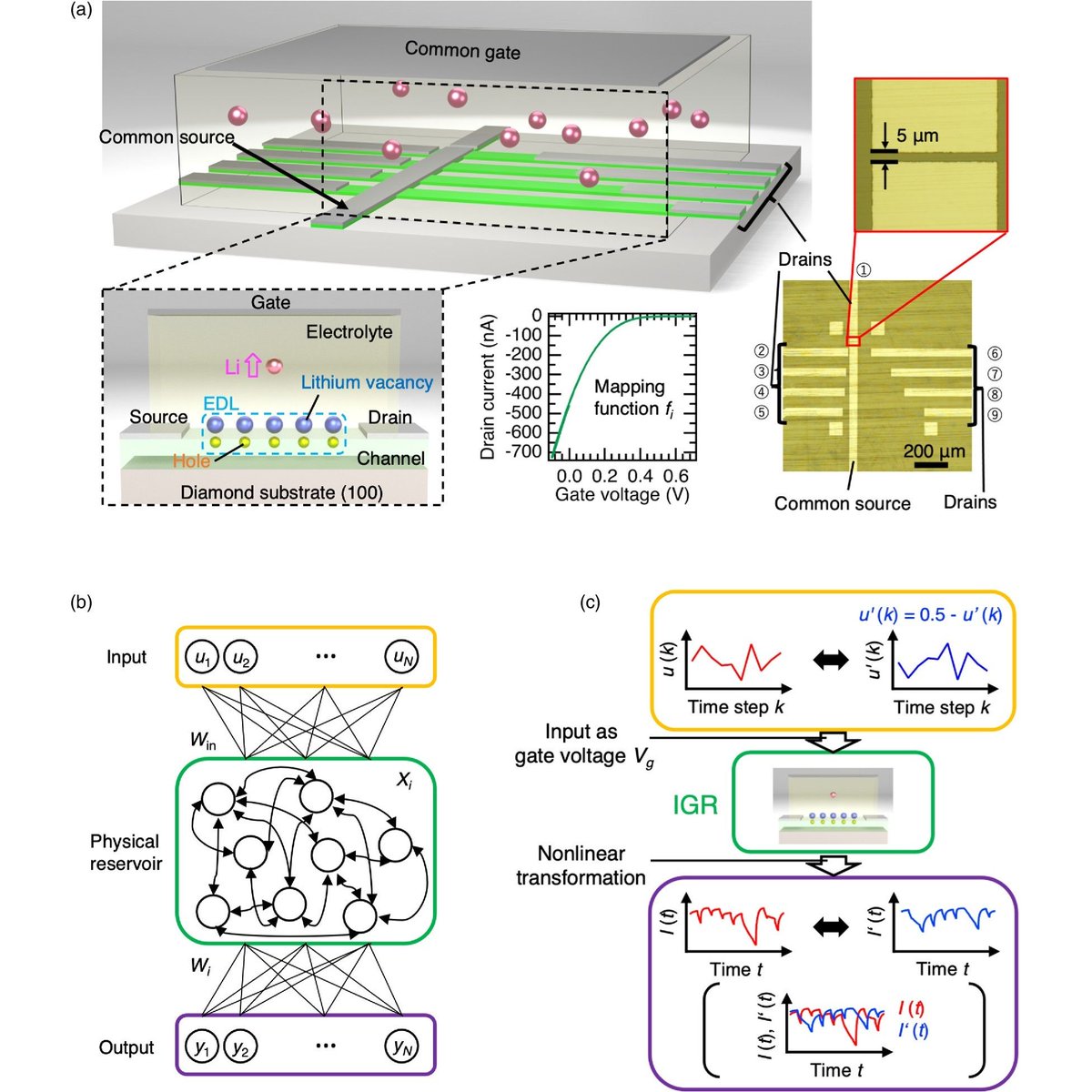 apexjjap's tweet image. [2024 OPEN ACCESS:Spotlights]
Inverted input method for computing performance enhancement of the ion-gating reservoir
2024 17 024501

iopscience.iop.org/article/10.358…

Spotlights
iopscience.iop.org/journal/1882-0…

#APEX
#OpenAccess
#Physics
#reservoir
#computing