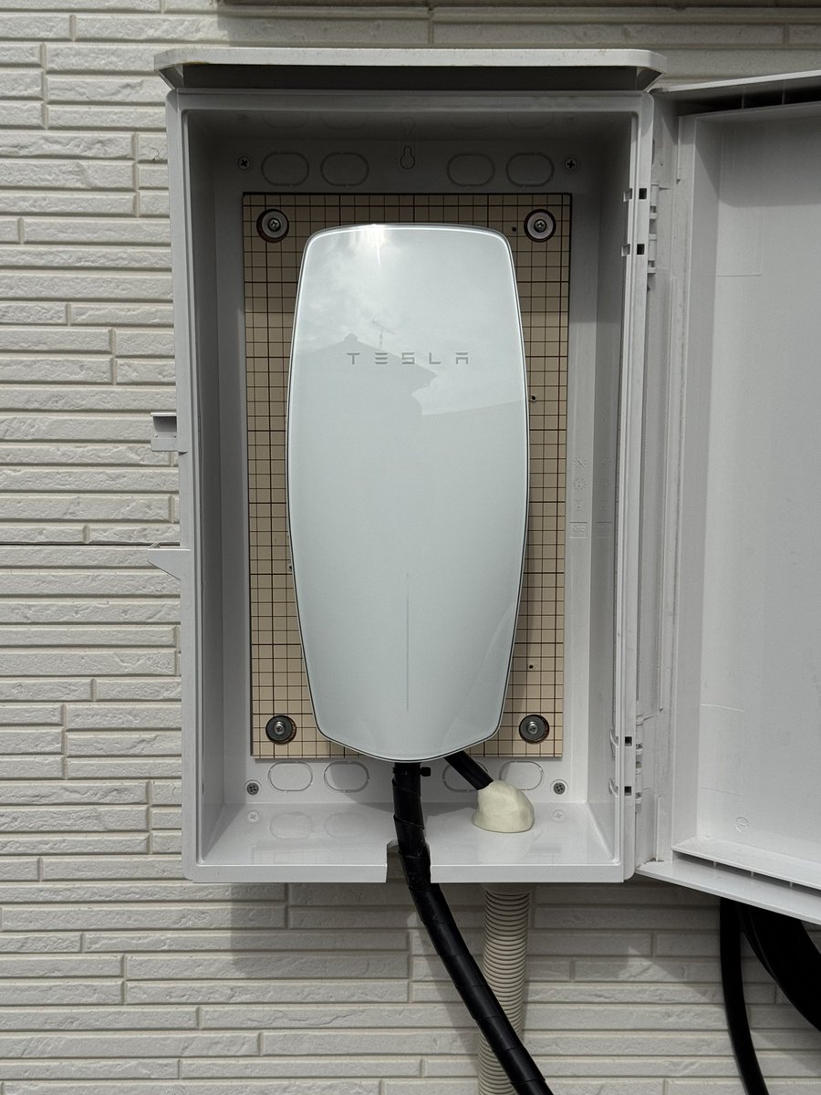 clef@Model Y tweet media