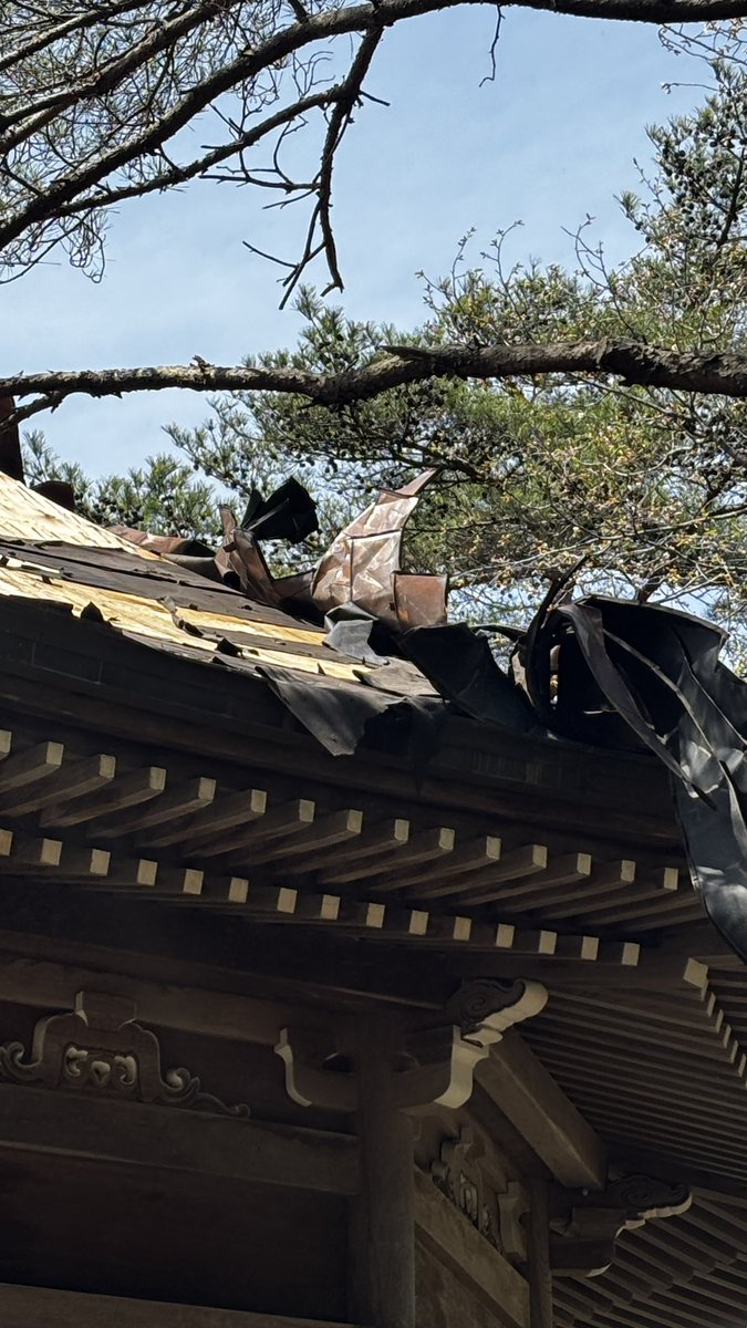 チカモリ tweet media