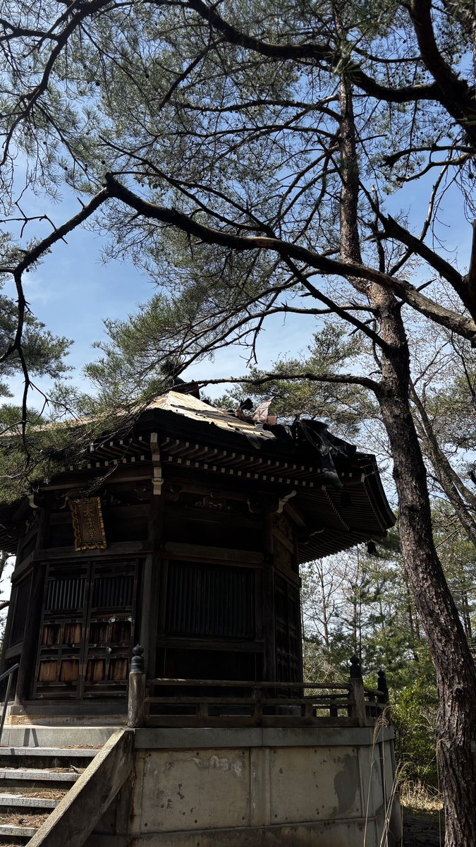 チカモリ tweet media