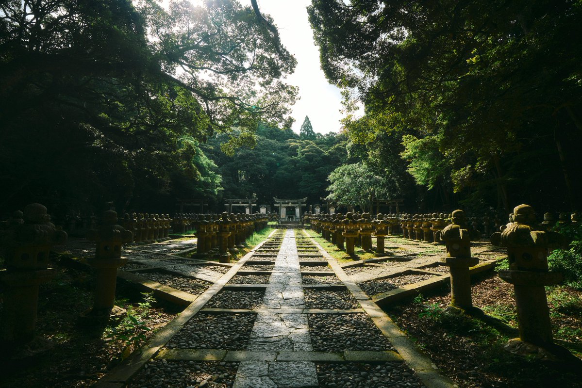 真道 健志 / Shindo Takeshi tweet media