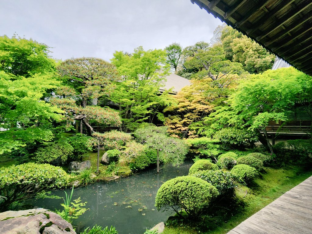 ShadowX_Akiba's tweet photo. せつ菜ちゃん、永観堂とても綺麗だよ〜🌳 https://t.co/jgRY2upivL