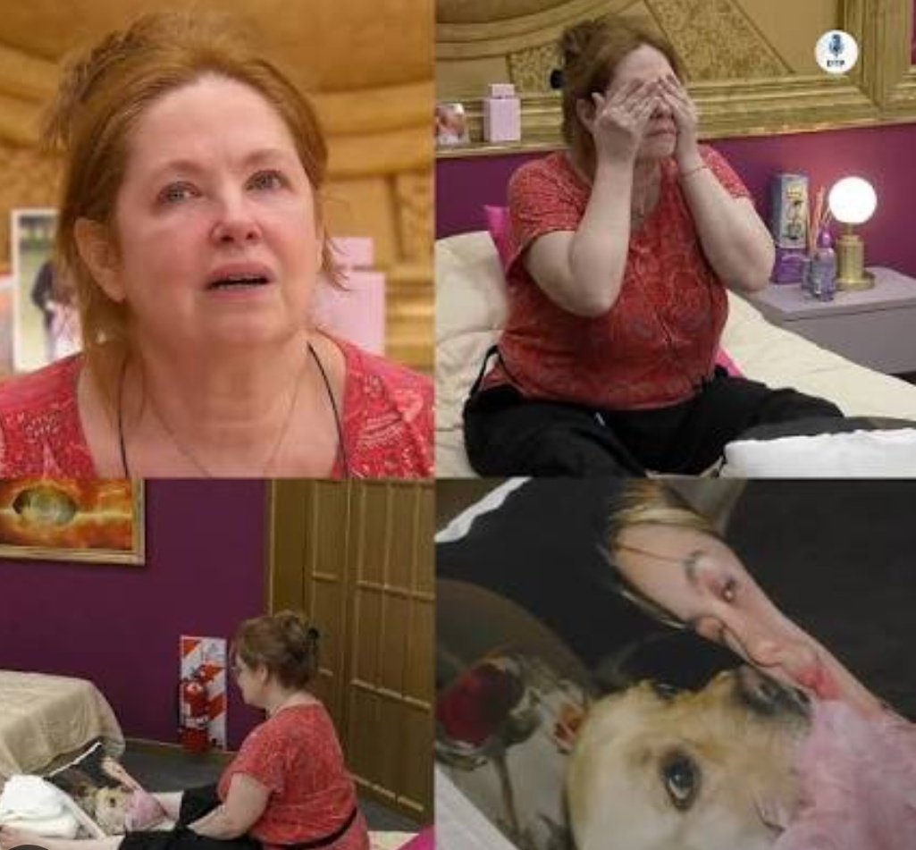 catalinga tweet media