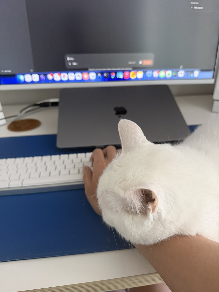 JayTheSong's tweet photo. staying productive while working from home is much harder than most of you think 😿 https://t.co/bJUVrIse7T
