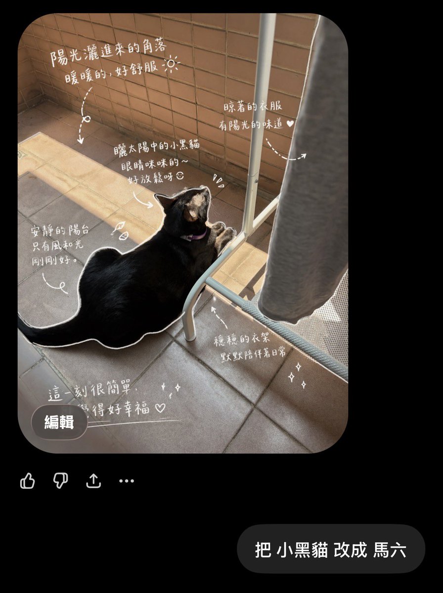 黑貓老師 tweet media