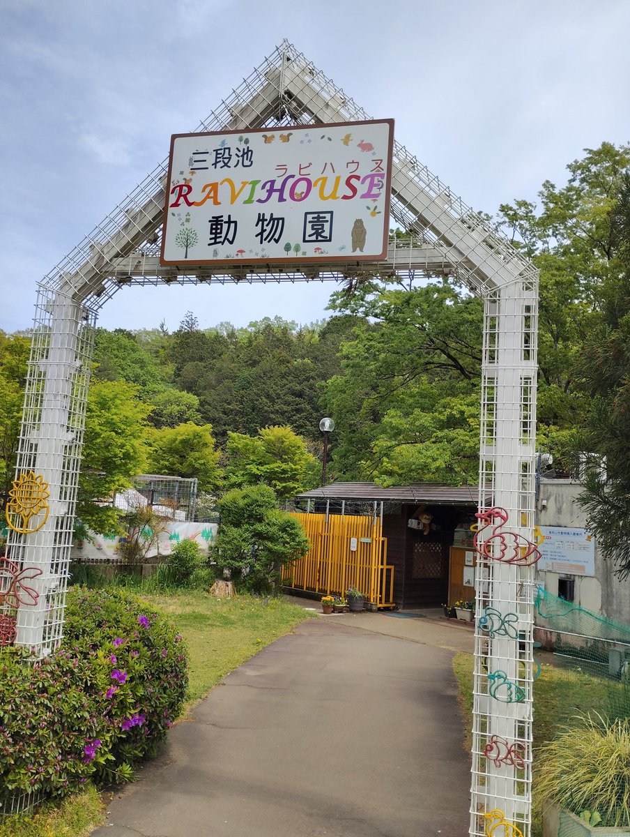 かの tweet media