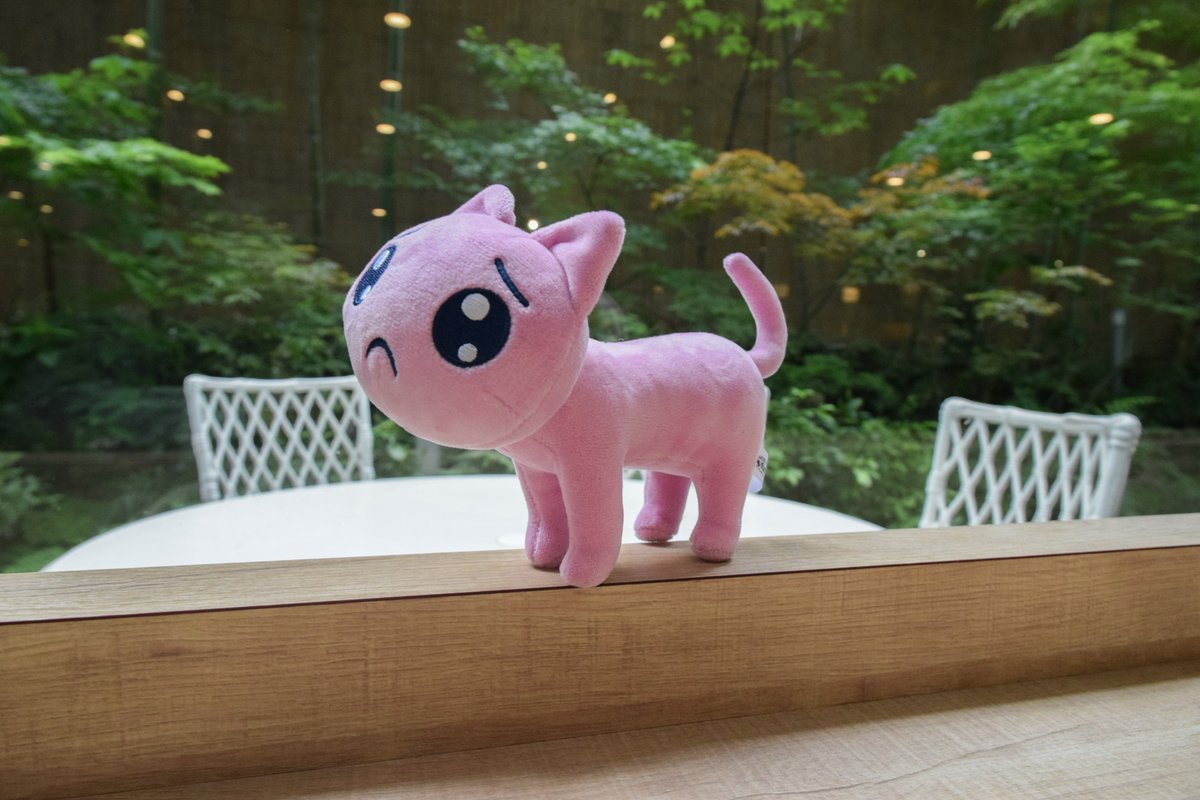 アニプレックス オンライン tweet media