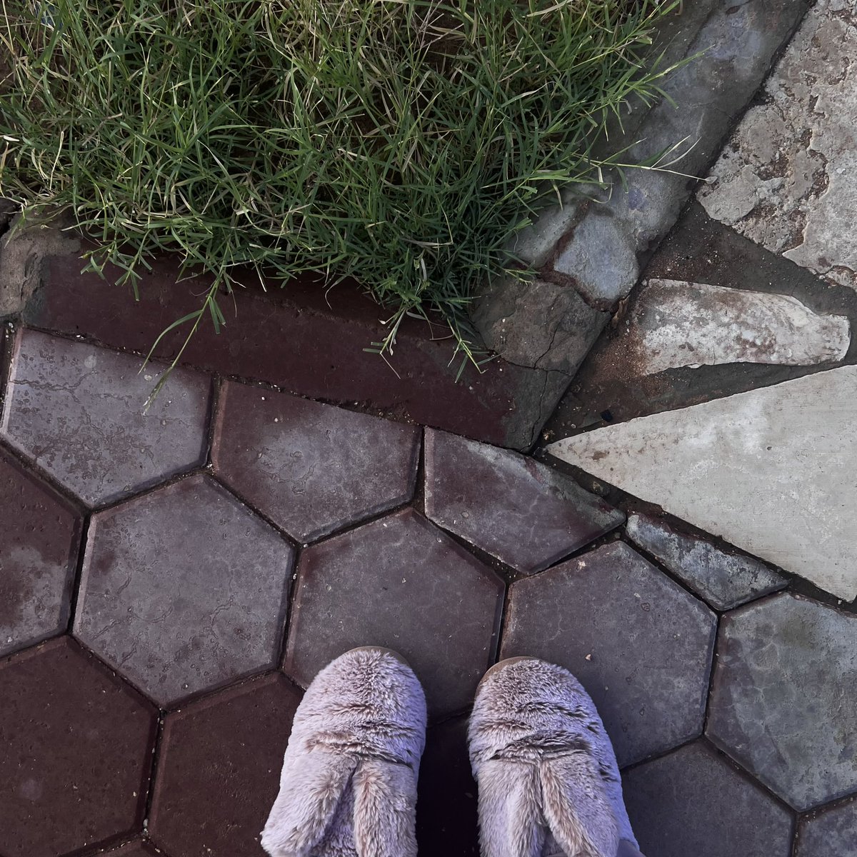 REDangelethan tweet media