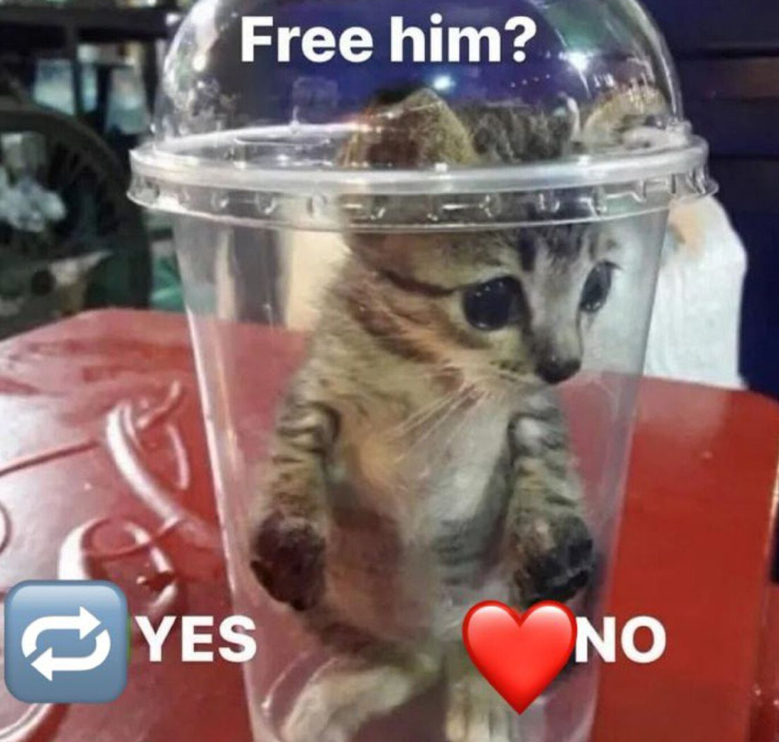 i like food tweet media