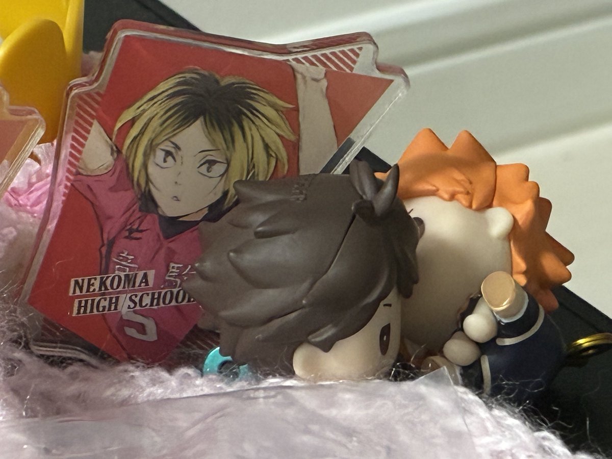 な茶丸 tweet media