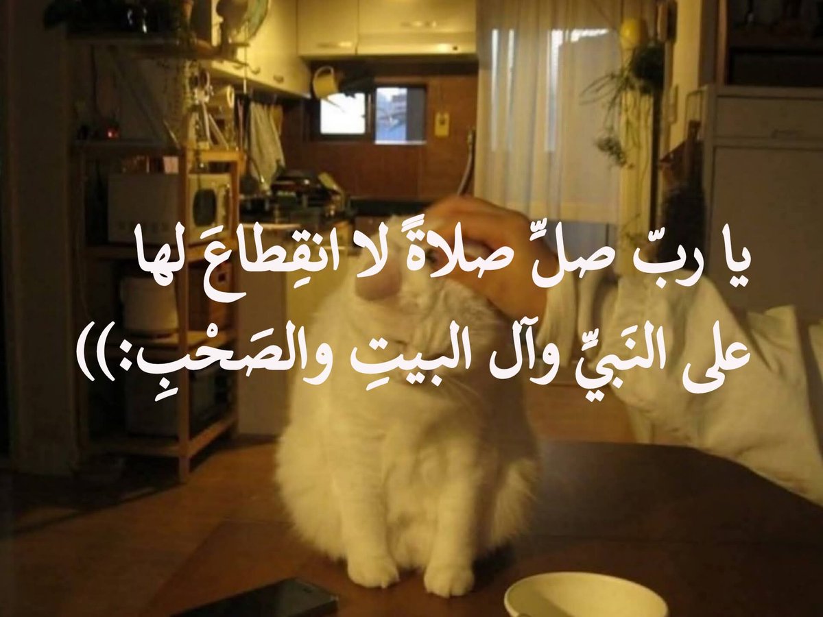 آلاء صبّاح⁦ 𓂆 tweet media