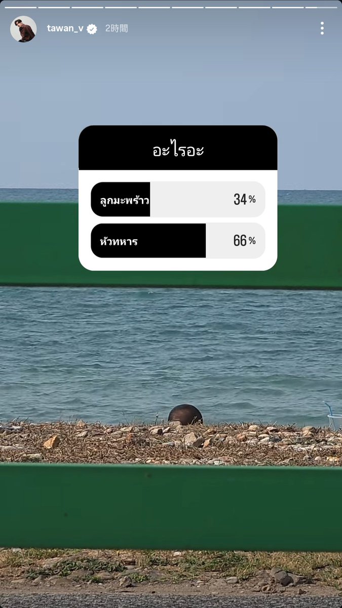 mizu_by_mizu's tweet image. 2026.04.24

​🐳：あれ何だろう
🐳：Hin、Hin、ちょっと見て。あれ、ココナッツ？それとも人の頭？
🐻‍❄️：兵士の頭、兵士の頭だよ
🐳：(笑)マジで？全然動かないけど…
🐳：あっ！落ちそう

２時間後……"兵士の頭"に軍配🤣🤣🤣
#ADogAndAPlane
#TayNew #Tawan_V #Newwiee