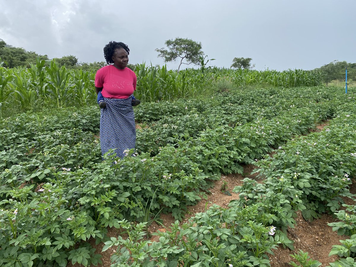 Cloffas Nyagumbo tweet media