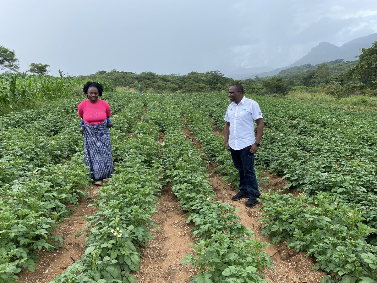 Cloffas Nyagumbo tweet media