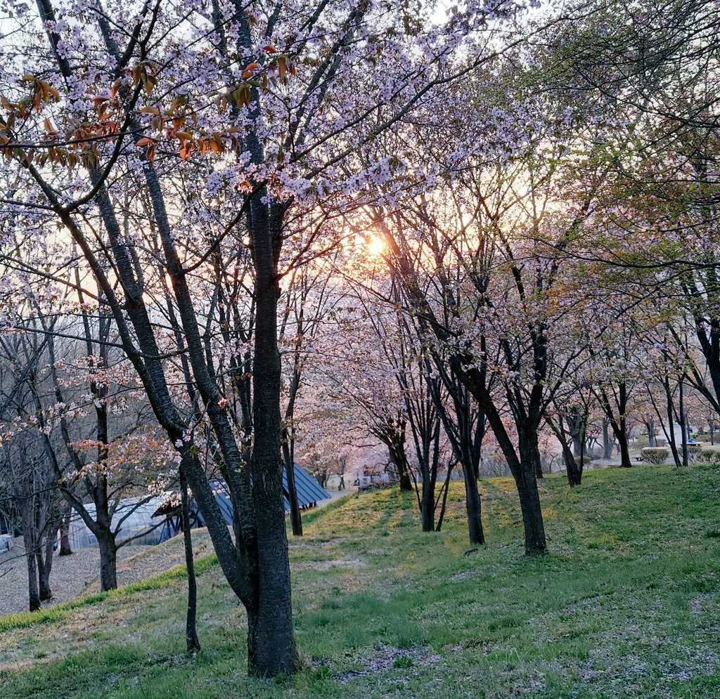 Emo-RAMUNE / えもらむね tweet media