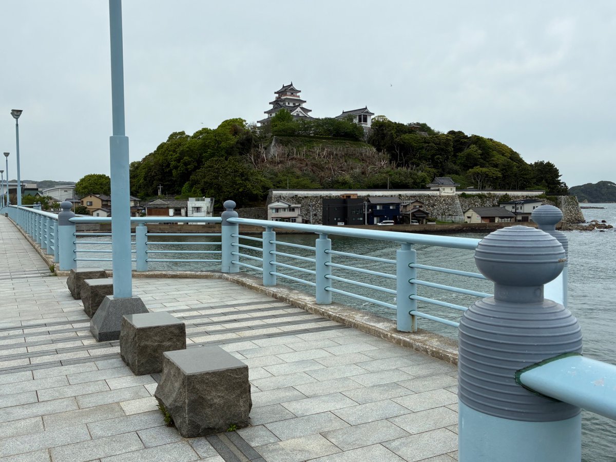 蘇芳宿禰 tweet media
