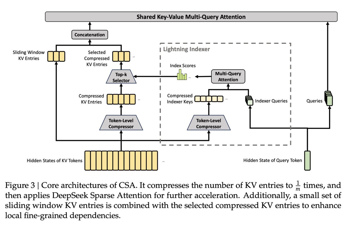 this is so amazing, CSA is a new attention arch close to deepseek NSA imo, but sequential instead of in parallel. NSA had this compression of KV, here it's the same, and then they do DSA, and sliding window to keep good local context (also in NSA)