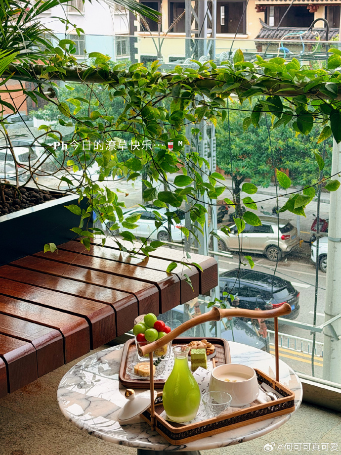 Michaela Klippel tweet media