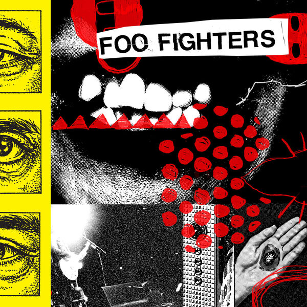 断捨離中です FOO FIGHTERS 【フーファイターズ】 4/24(金)ハイレゾ🎧新着✨ フー・ファイターズ (Foo Fighters) 『Your