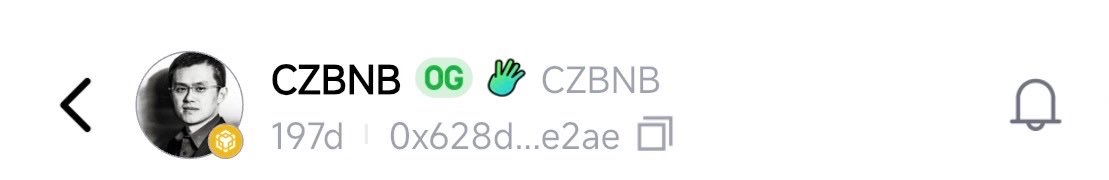 DONG | BNB tweet media