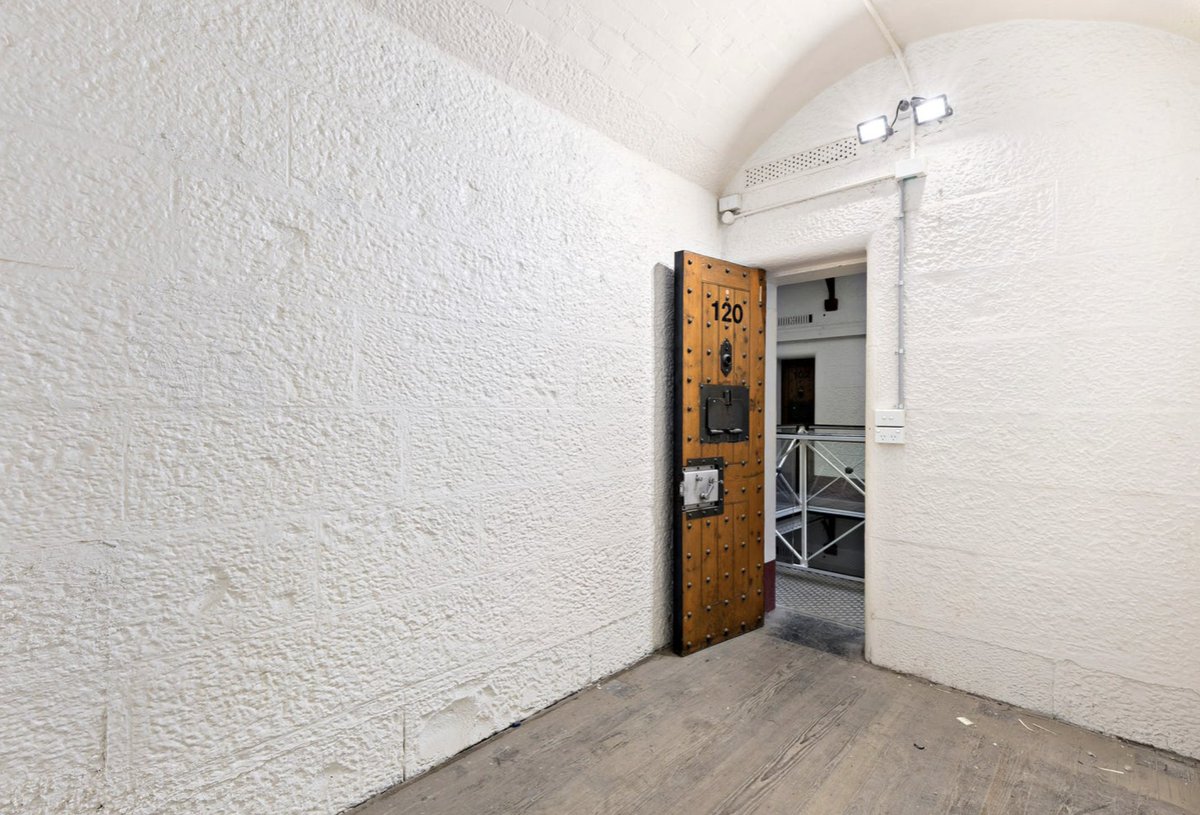 Drew Pavlou 🇦🇺🇺🇸🇺🇦🇹🇼 tweet media