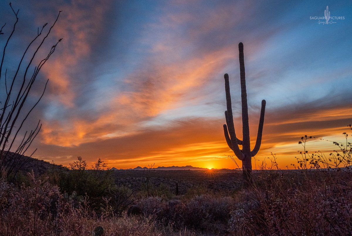 Gregtucson's tweet photo. 3 straight days of crazy sunsets here in Tucson! https://t.co/P29jIR3Mpl
