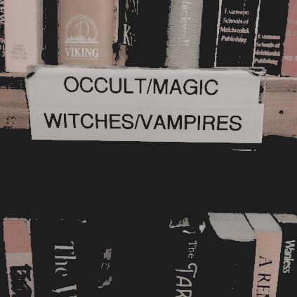 𝘔𝘪𝘭𝘦𝘴 𝘋𝘰𝘯𝘰𝘷𝘢𝘯 tweet media