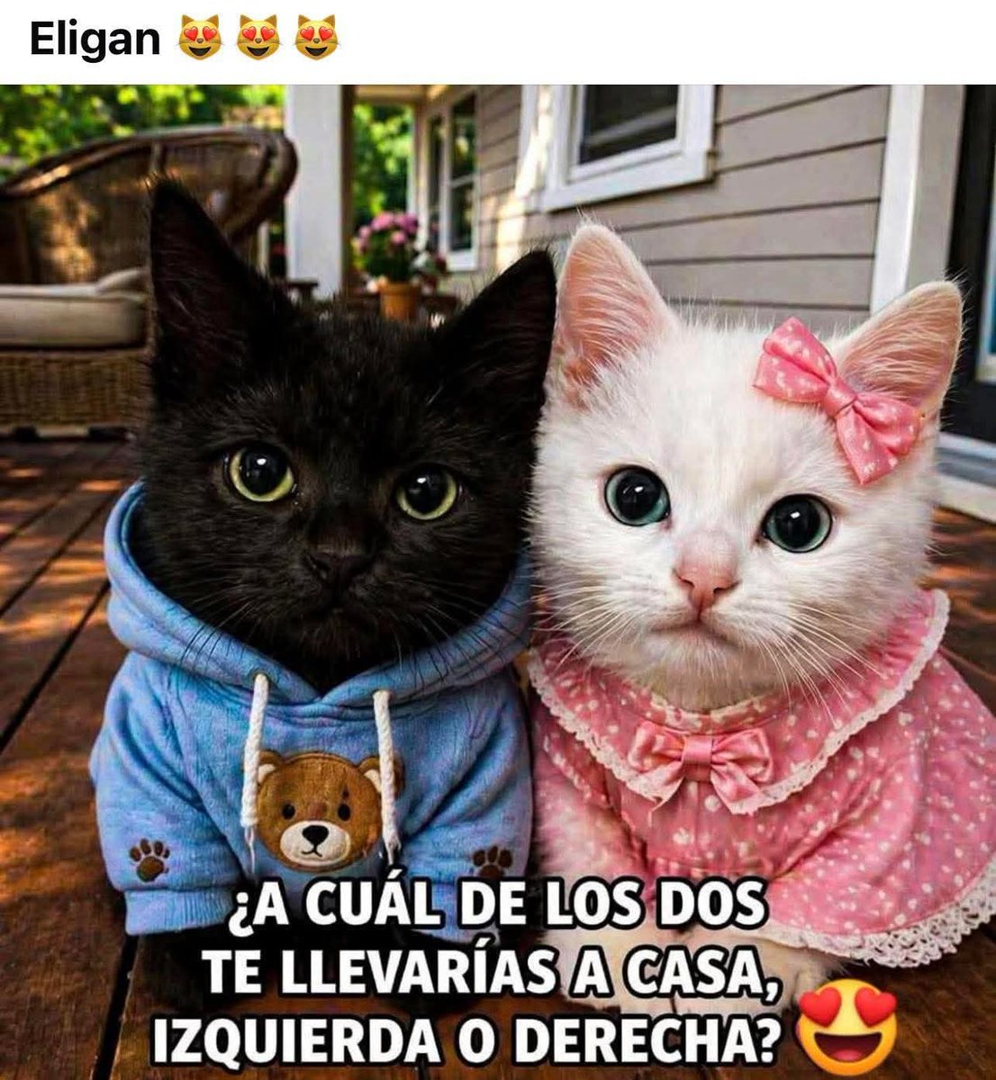 Manu Saenz💛💛 tweet media