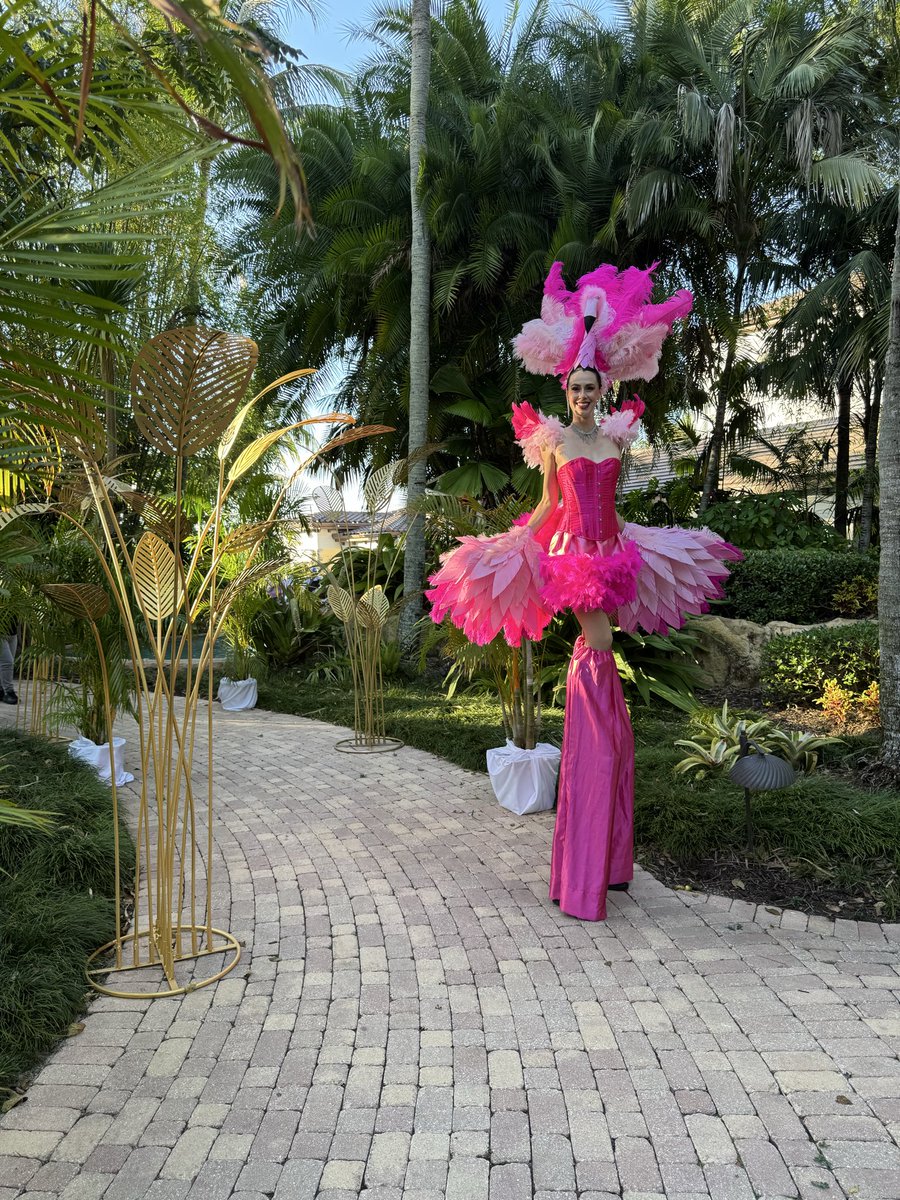 Teachball02's tweet image. My amazing talented daughter in law #flamingos #stiltwalkers #talent