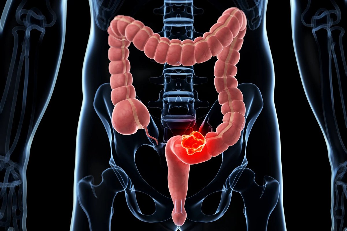 Little Think Tank tweet media