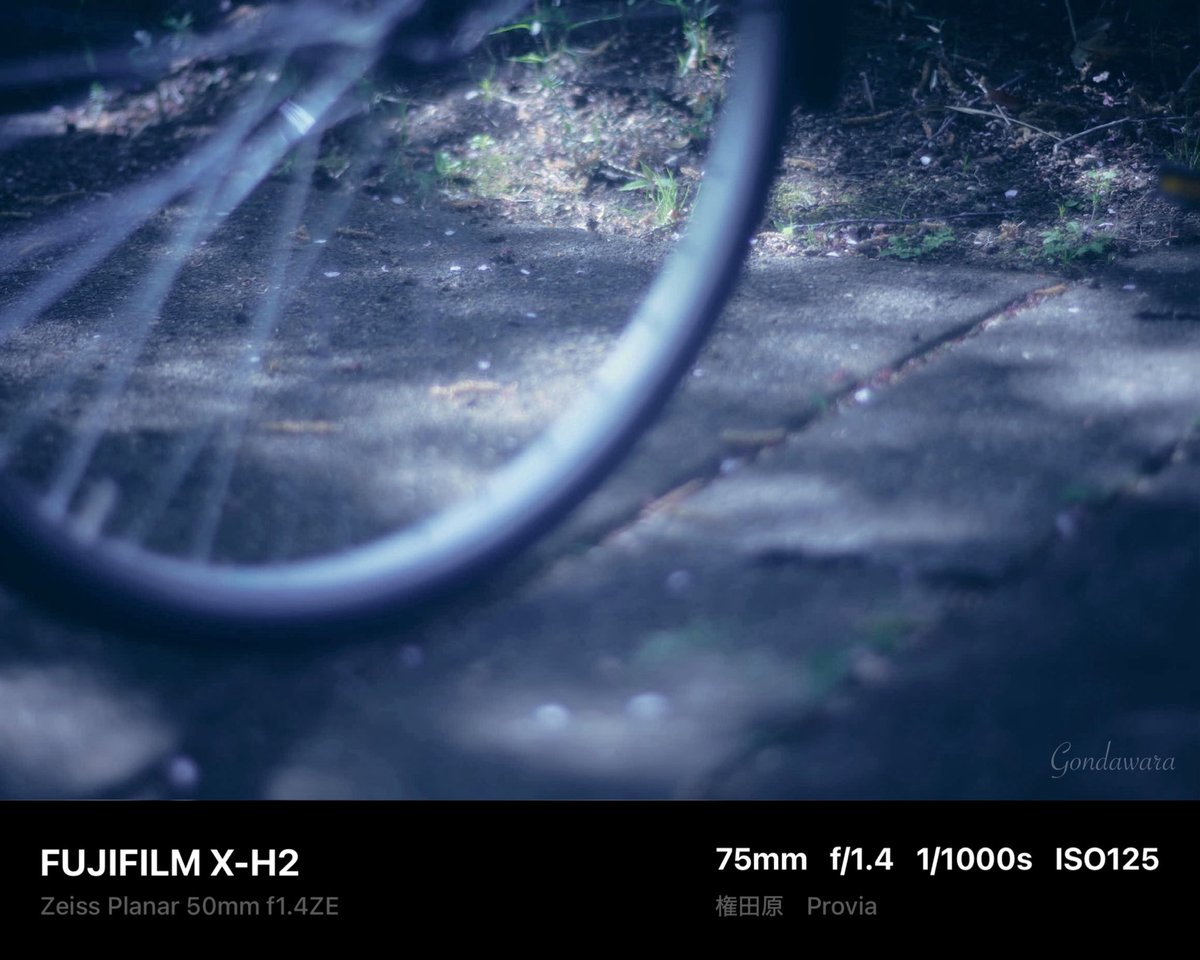 loqg78's tweet image. そろそろコーシータイム(´・ω・)

#fujifilm_xseries #XH2 #Zeiss #Planar50ZE #ノスタルトーン