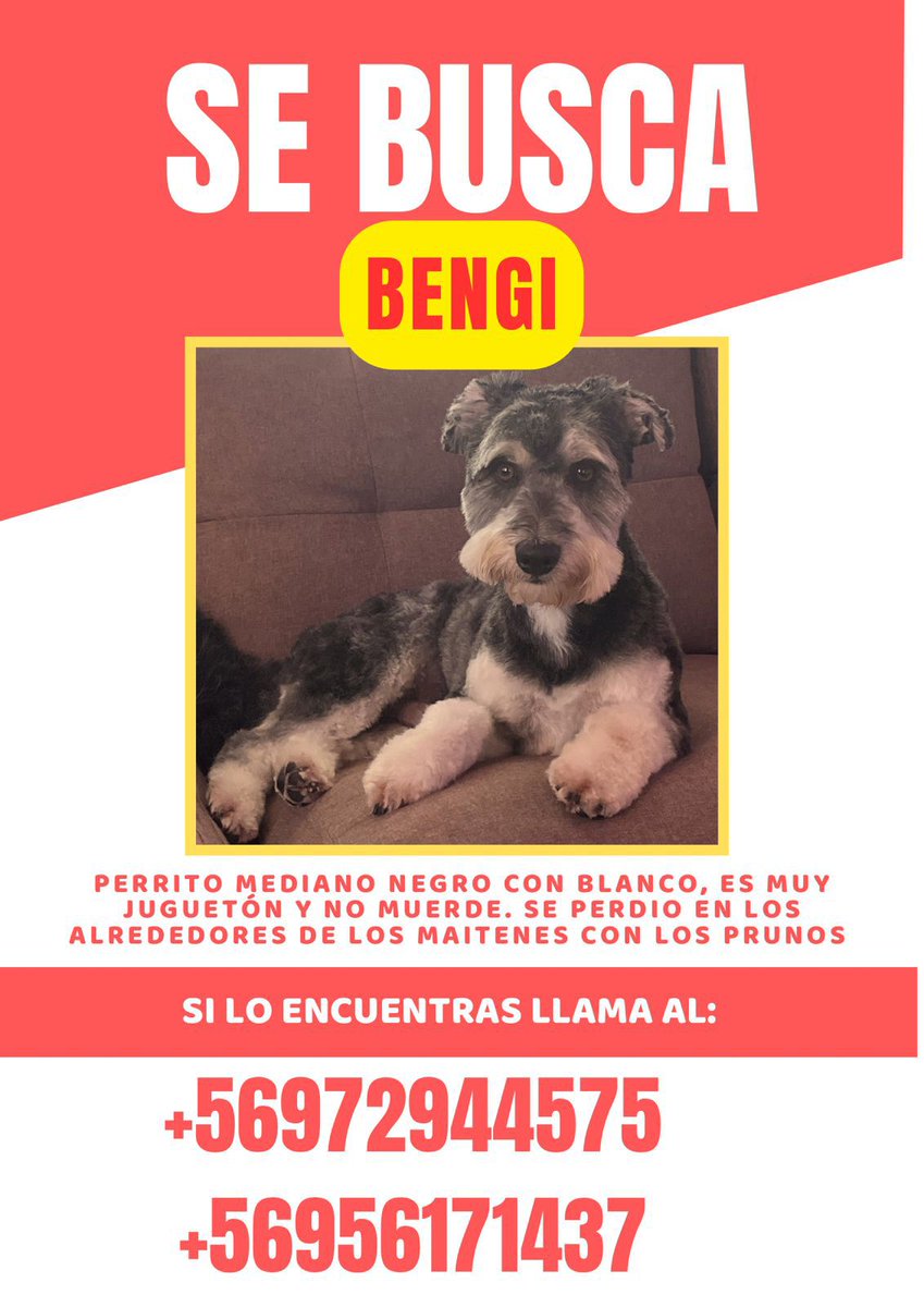 Se perdió en el límite de #LaReina #Penalolen 
RT <a href="/Evelyn_Torres_h/">Eve Torres 🇨🇱</a> <a href="/BrendaEtchegar1/">Brenda Etchegaray</a> <a href="/gloriabaettig/">Gloria Baettig</a> <a href="/KarendTV/">Karen Doggenweiler L</a>